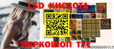шишки Тверь