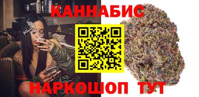 гашик Тара
