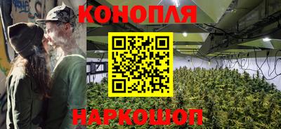 гашик Тара