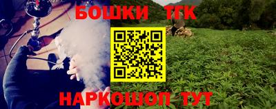 гашик Тара