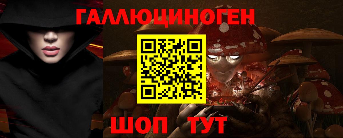 Миллерово  Галлюциногенные грибы Psilocybe  Вход с VPN 